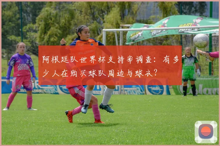 阿根廷队世界杯支持率调查：有多少人在购买球队周边与球衣？