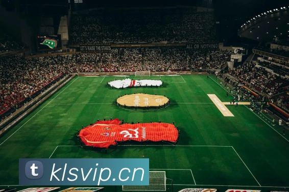 半岛网页版官网APP 高清赛事图